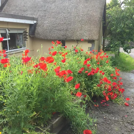 Bridge فندق مبيت وإفطار 3*